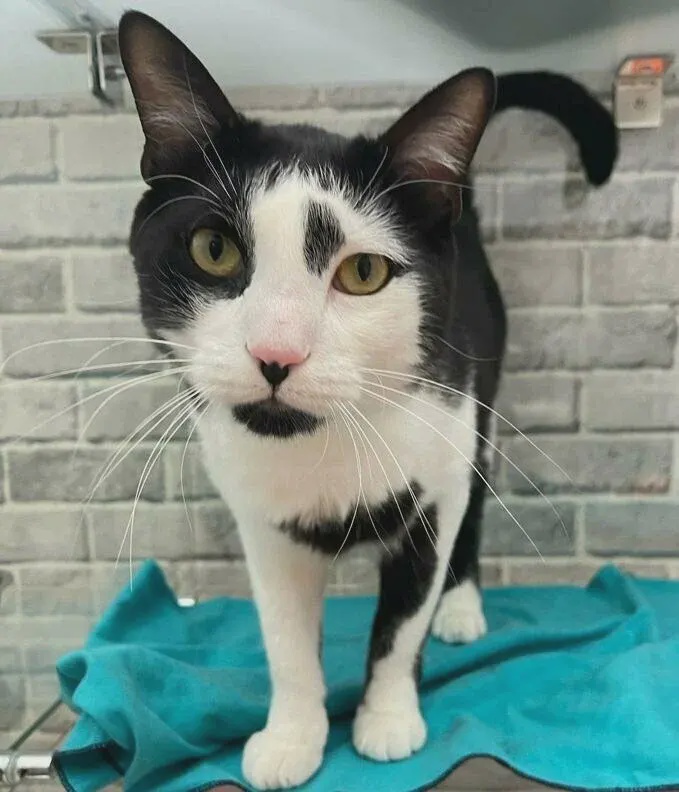 Забронировать на Кунцевской